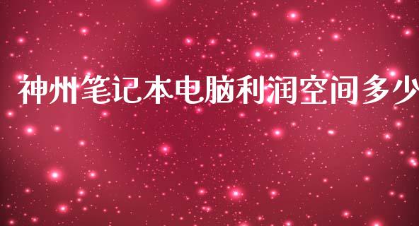 神州笔记本电脑利润空间多少_https://wap.qdlswl.com_理财投资_第1张