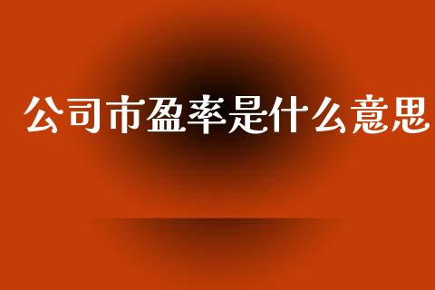 公司市盈率是什么意思_https://wap.qdlswl.com_理财投资_第1张