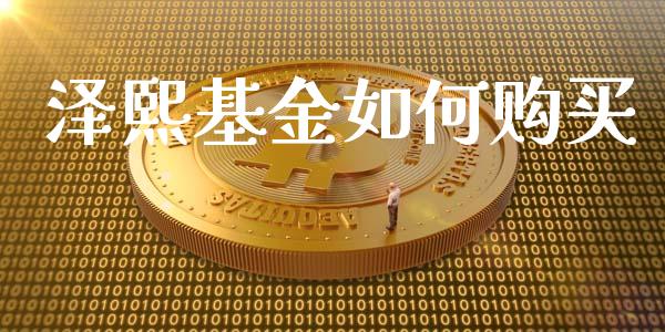 泽熙基金如何购买_https://wap.qdlswl.com_财经资讯_第1张