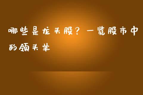 哪些是龙头股？一览股市中的领头羊_https://wap.qdlswl.com_财经资讯_第1张