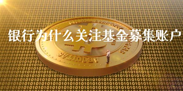 银行为什么关注基金募集账户_https://wap.qdlswl.com_证券新闻_第1张