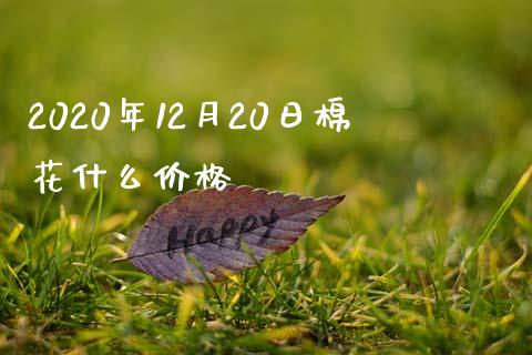 2020年12月20日棉花什么价格_https://wap.qdlswl.com_全球经济_第1张