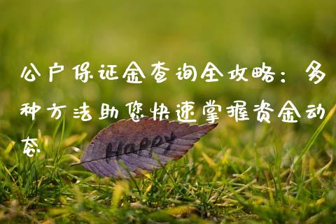 公户保证金查询全攻略：多种方法助您快速掌握资金动态_https://wap.qdlswl.com_理财投资_第1张