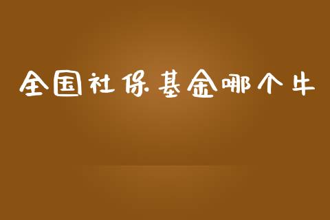 全国社保基金哪个牛_https://wap.qdlswl.com_理财投资_第1张