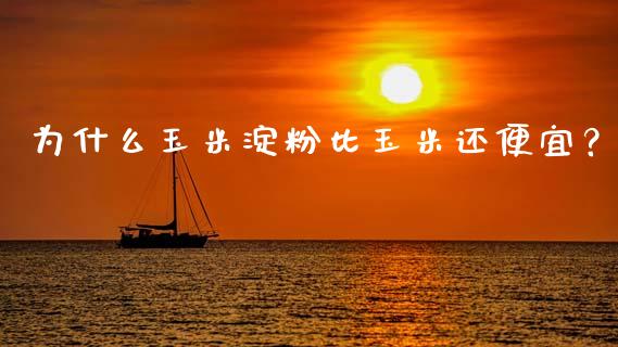 为什么玉米淀粉比玉米还便宜？_https://wap.qdlswl.com_全球经济_第1张