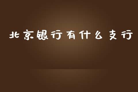 北京银行有什么支行_https://wap.qdlswl.com_理财投资_第1张