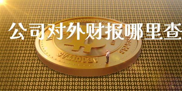 公司对外财报哪里查_https://wap.qdlswl.com_全球经济_第1张