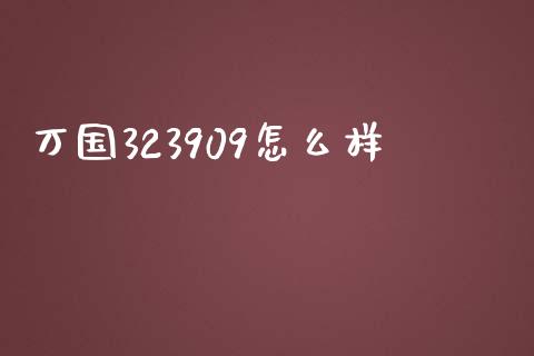 万国323909怎么样_https://wap.qdlswl.com_证券新闻_第1张