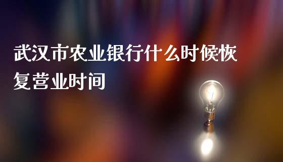 武汉市农业银行什么时候恢复营业时间_https://wap.qdlswl.com_理财投资_第1张