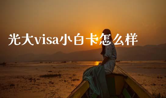 光大visa小白卡怎么样_https://wap.qdlswl.com_证券新闻_第1张