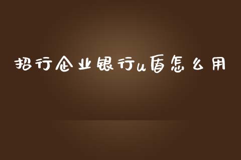 招行企业银行u盾怎么用_https://wap.qdlswl.com_证券新闻_第1张