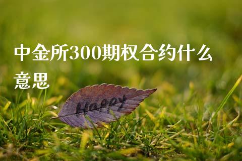 中金所300期权合约什么意思_https://wap.qdlswl.com_财经资讯_第1张