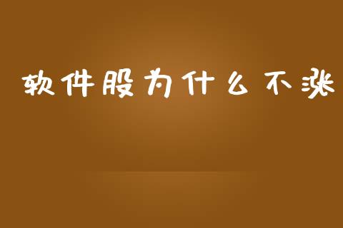 软件股为什么不涨_https://wap.qdlswl.com_财经资讯_第1张