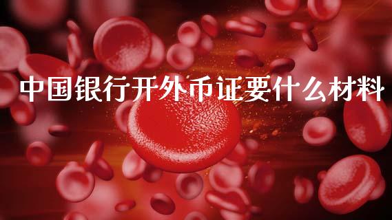中国银行开外币证要什么材料_https://wap.qdlswl.com_财经资讯_第1张
