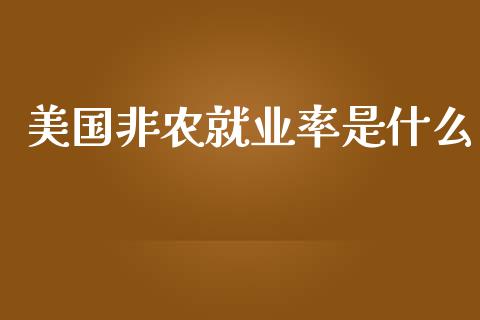 美国非农就业率是什么_https://wap.qdlswl.com_证券新闻_第1张