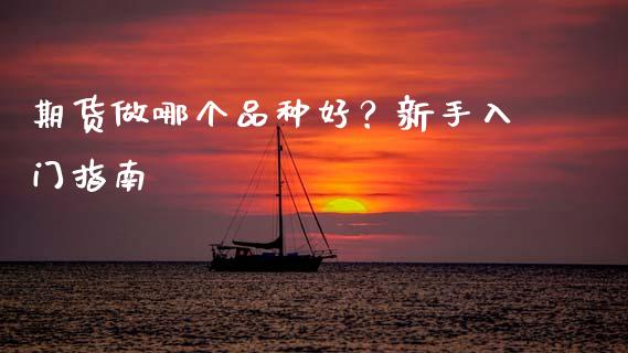 期货做哪个品种好？新手入门指南_https://wap.qdlswl.com_理财投资_第1张