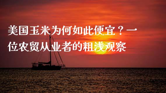 美国玉米为何如此便宜？一位农贸从业者的粗浅观察_https://wap.qdlswl.com_理财投资_第1张