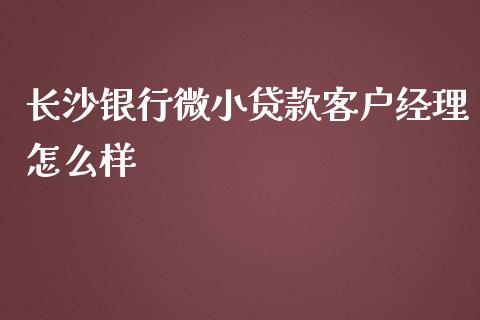 长沙银行微小贷款客户经理怎么样_https://wap.qdlswl.com_理财投资_第1张