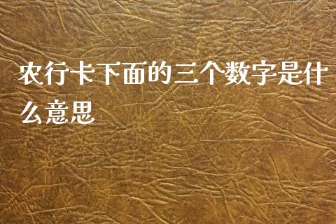 农行卡下面的三个数字是什么意思_https://wap.qdlswl.com_全球经济_第1张