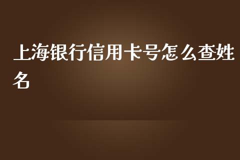 上海银行信用卡号怎么查姓名_https://wap.qdlswl.com_证券新闻_第1张