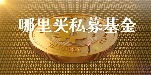 哪里买私募基金_https://wap.qdlswl.com_全球经济_第1张