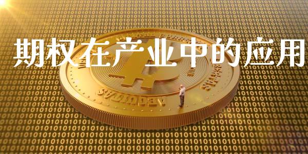 期权在产业中的应用_https://wap.qdlswl.com_全球经济_第1张