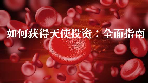 如何获得天使投资：全面指南_https://wap.qdlswl.com_财经资讯_第1张