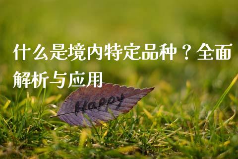 什么是境内特定品种?全面解析与应用_证券新闻_第1张_财经资讯_理财投资_证券新闻_全球经济 什么是境内特定品种?全面解析与应用_https://wap.qdlswl.com_证券新闻_第1张