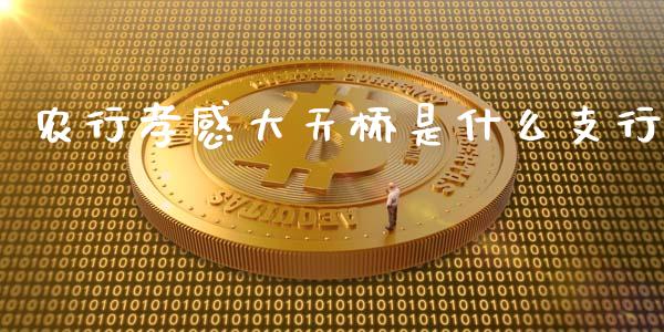 农行孝感大天桥是什么支行_https://wap.qdlswl.com_全球经济_第1张