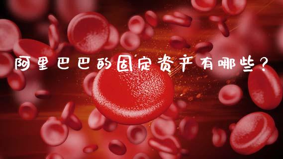 阿里巴巴的固定资产有哪些？_https://wap.qdlswl.com_全球经济_第1张