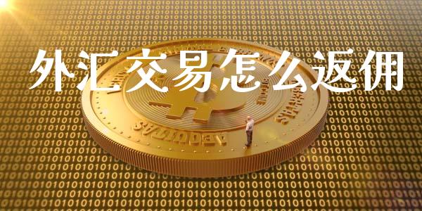 外汇交易怎么返佣_https://wap.qdlswl.com_理财投资_第1张