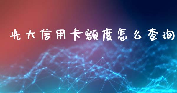 光大信用卡额度怎么查询_https://wap.qdlswl.com_理财投资_第1张