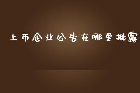 上市企业公告在哪里批露_https://wap.qdlswl.com_理财投资_第1张