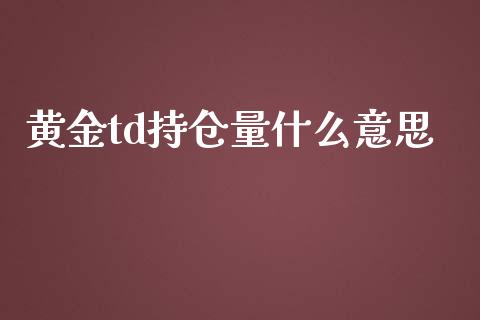 黄金td持仓量什么意思_https://wap.qdlswl.com_证券新闻_第1张