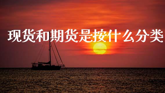现货和期货是按什么分类_https://wap.qdlswl.com_全球经济_第1张