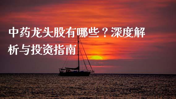 中药龙头股有哪些？深度解析与投资指南_https://wap.qdlswl.com_理财投资_第1张