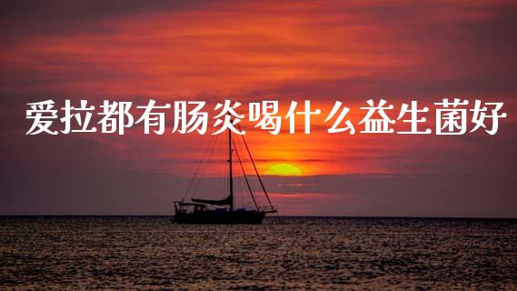 爱拉都有肠炎喝什么益生菌好_https://wap.qdlswl.com_财经资讯_第1张