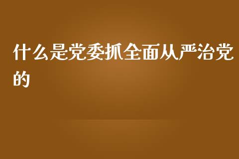 什么是党委抓全面从严治党的_https://wap.qdlswl.com_理财投资_第1张