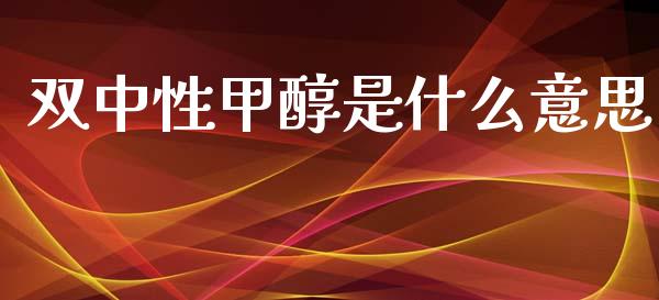 双中性甲醇是什么意思_https://wap.qdlswl.com_证券新闻_第1张