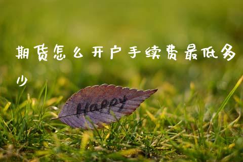 期货怎么开户手续费最低多少_https://wap.qdlswl.com_全球经济_第1张