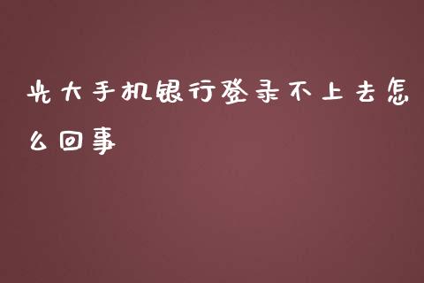 光大手机银行登录不上去怎么回事_https://wap.qdlswl.com_证券新闻_第1张