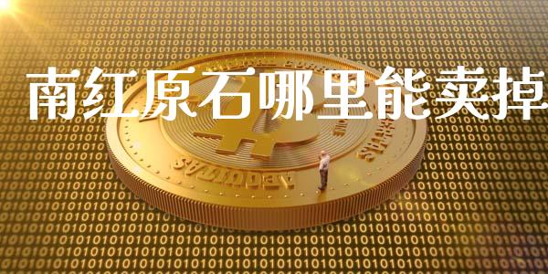 南红原石哪里能卖掉_https://wap.qdlswl.com_全球经济_第1张