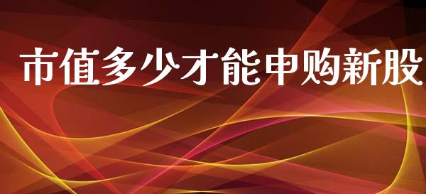 市值多少才能申购新股_https://wap.qdlswl.com_证券新闻_第1张