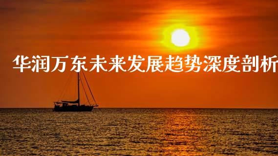 华润万东未来发展趋势深度剖析_https://wap.qdlswl.com_证券新闻_第1张