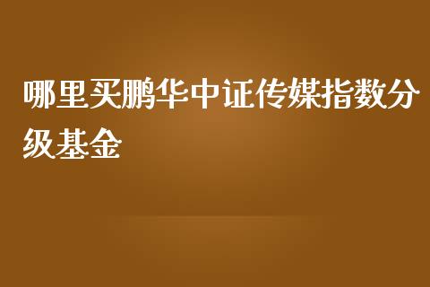 哪里买鹏华中证传媒指数分级基金_https://wap.qdlswl.com_证券新闻_第1张