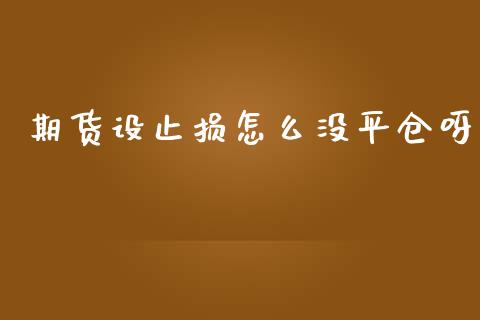 期货设止损怎么没平仓呀_https://wap.qdlswl.com_财经资讯_第1张