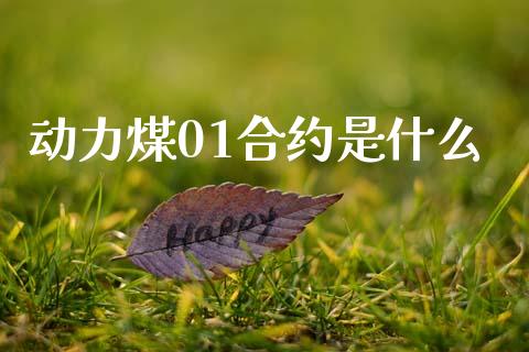 动力煤01合约是什么_https://wap.qdlswl.com_全球经济_第1张