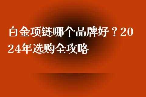 白金项链哪个品牌好？2024年选购全攻略_https://wap.qdlswl.com_证券新闻_第1张