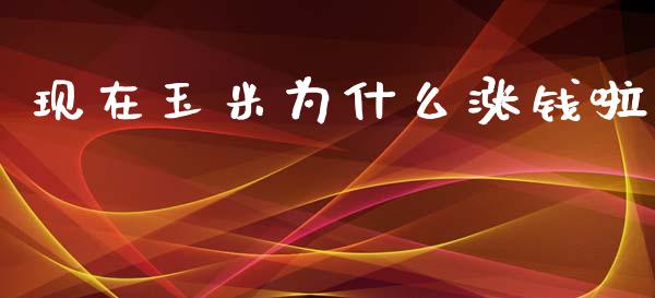 现在玉米为什么涨钱啦_https://wap.qdlswl.com_证券新闻_第1张