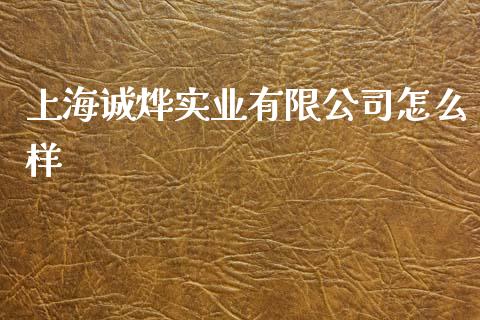 上海诚烨实业有限公司怎么样_https://wap.qdlswl.com_理财投资_第1张